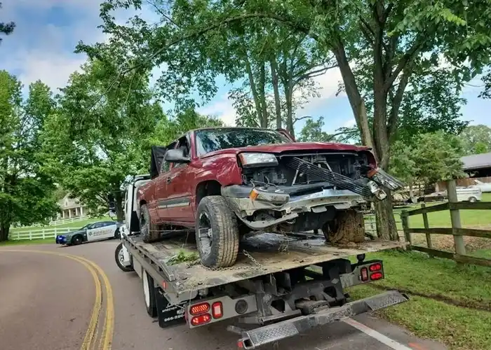 Professional Towing Service Professional Towing Service